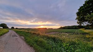 Path into sunset