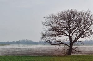 Winter depression
